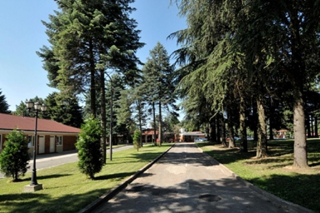 Hotel 1000 Ruza Belgrad Exterior foto